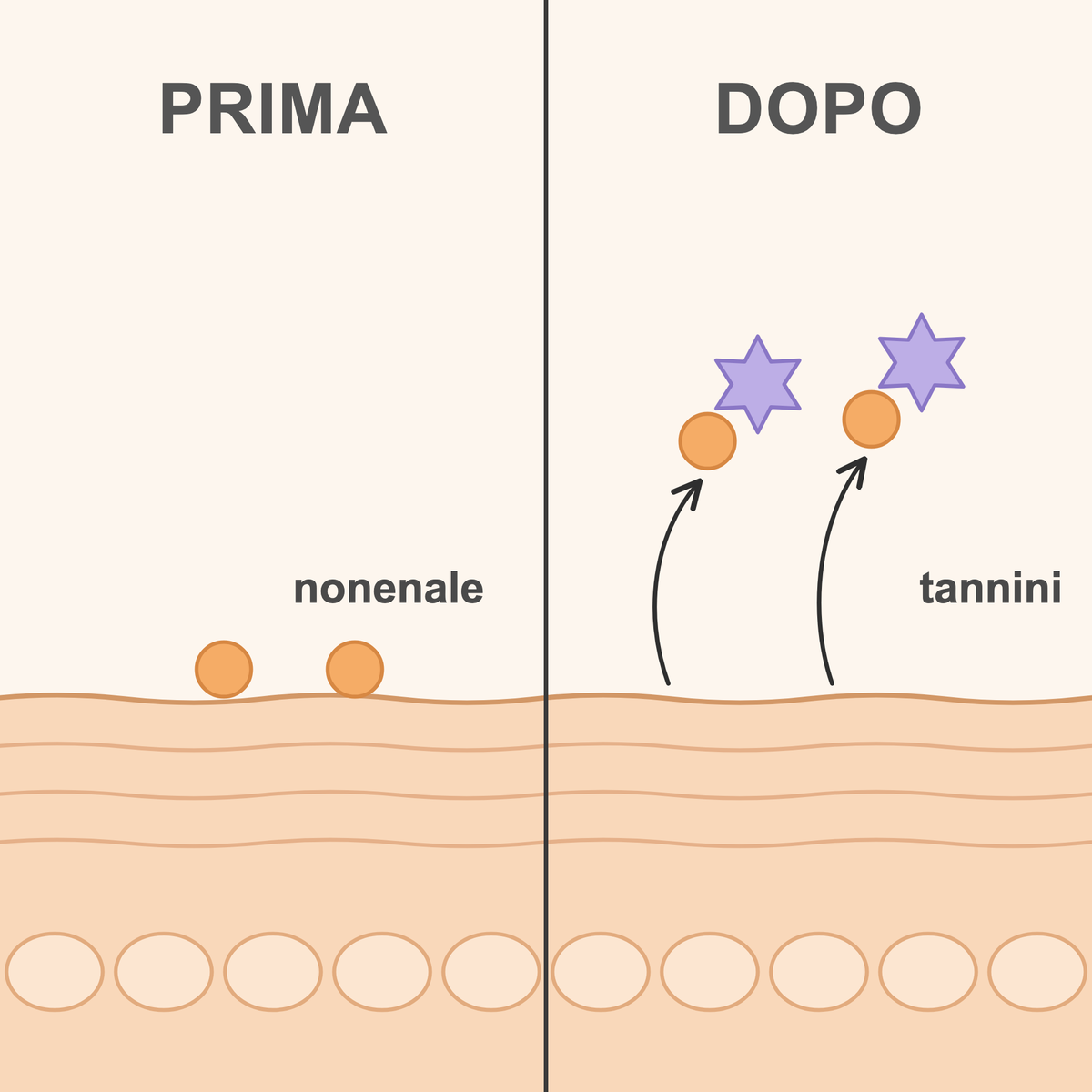 Il sapone normale scivola sul nonenale, i tannini del cachi lo legano